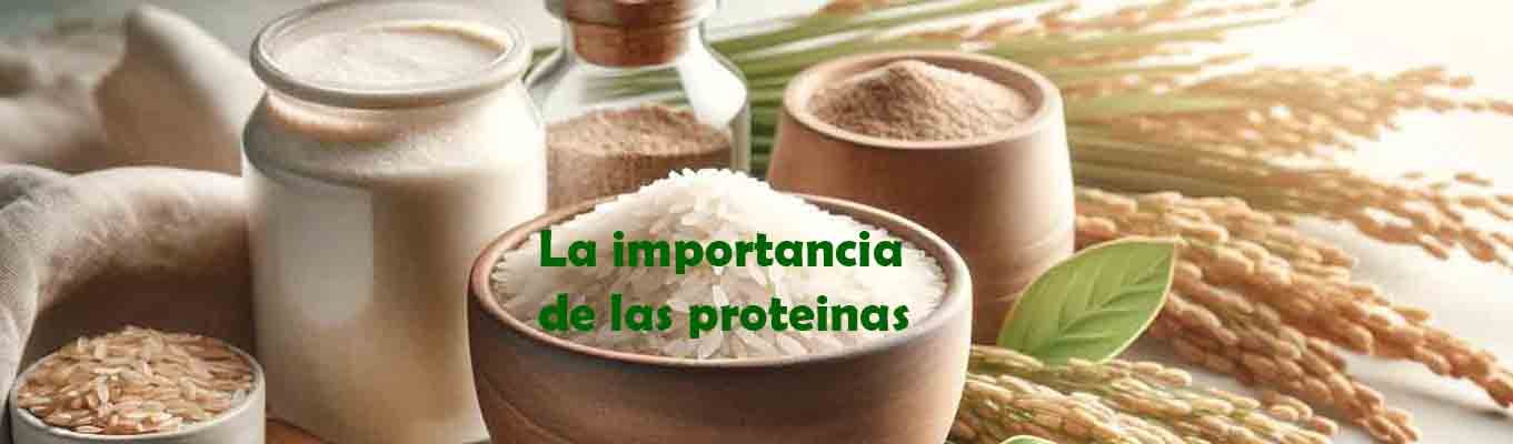 PROTEINAS
